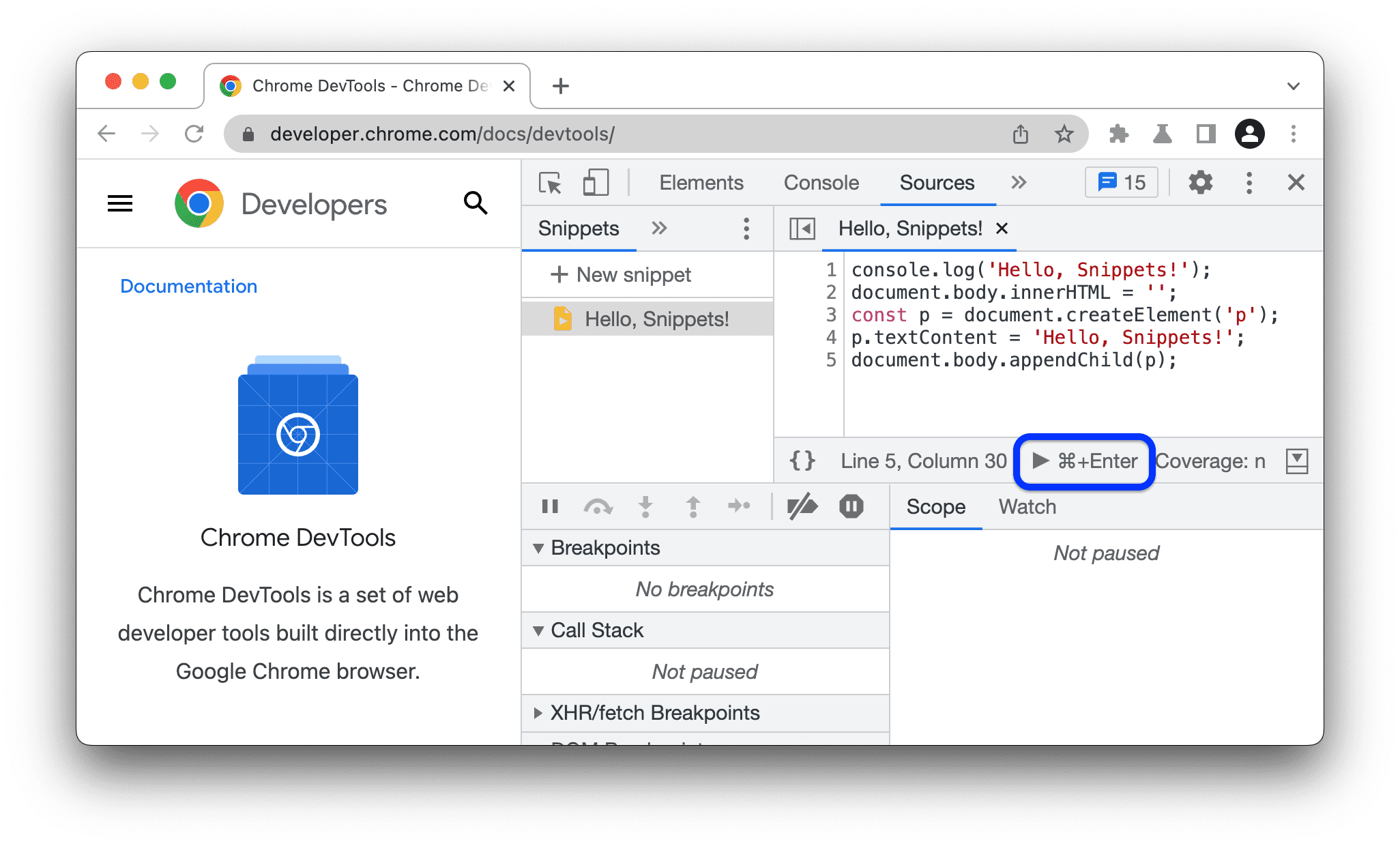 דף הבית של מסמכי התיעוד של DevTools לפני הרצת קטע הקוד. כפתור ההפעלה מודגש.