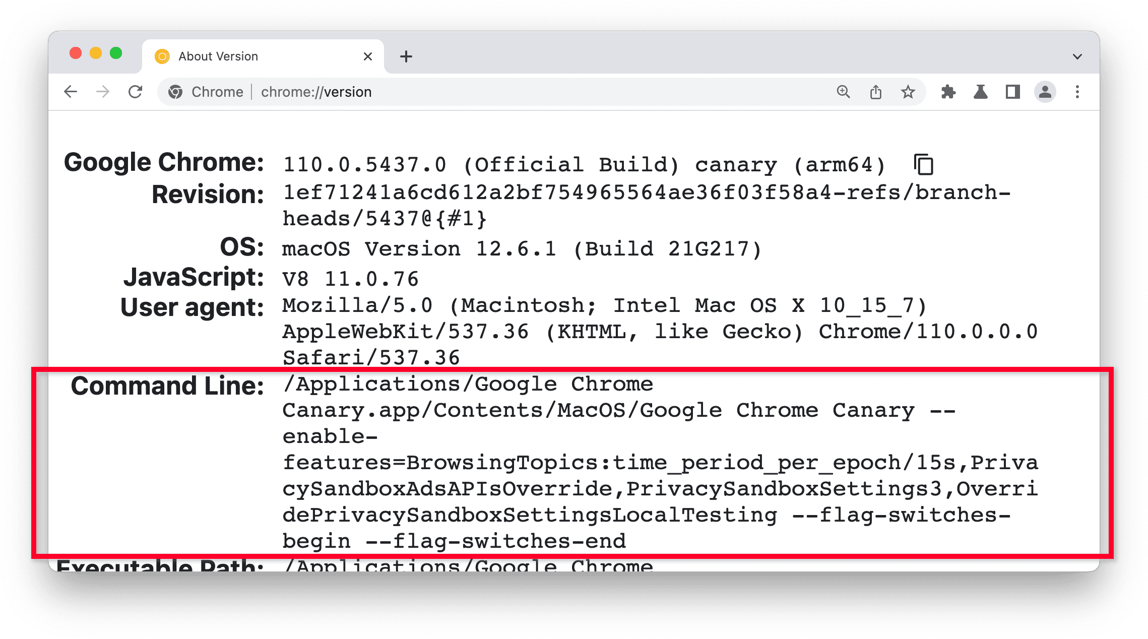 صفحة إصدار Chrome
في Chrome Canary، مع تمييز قسم "سطر الأوامر"